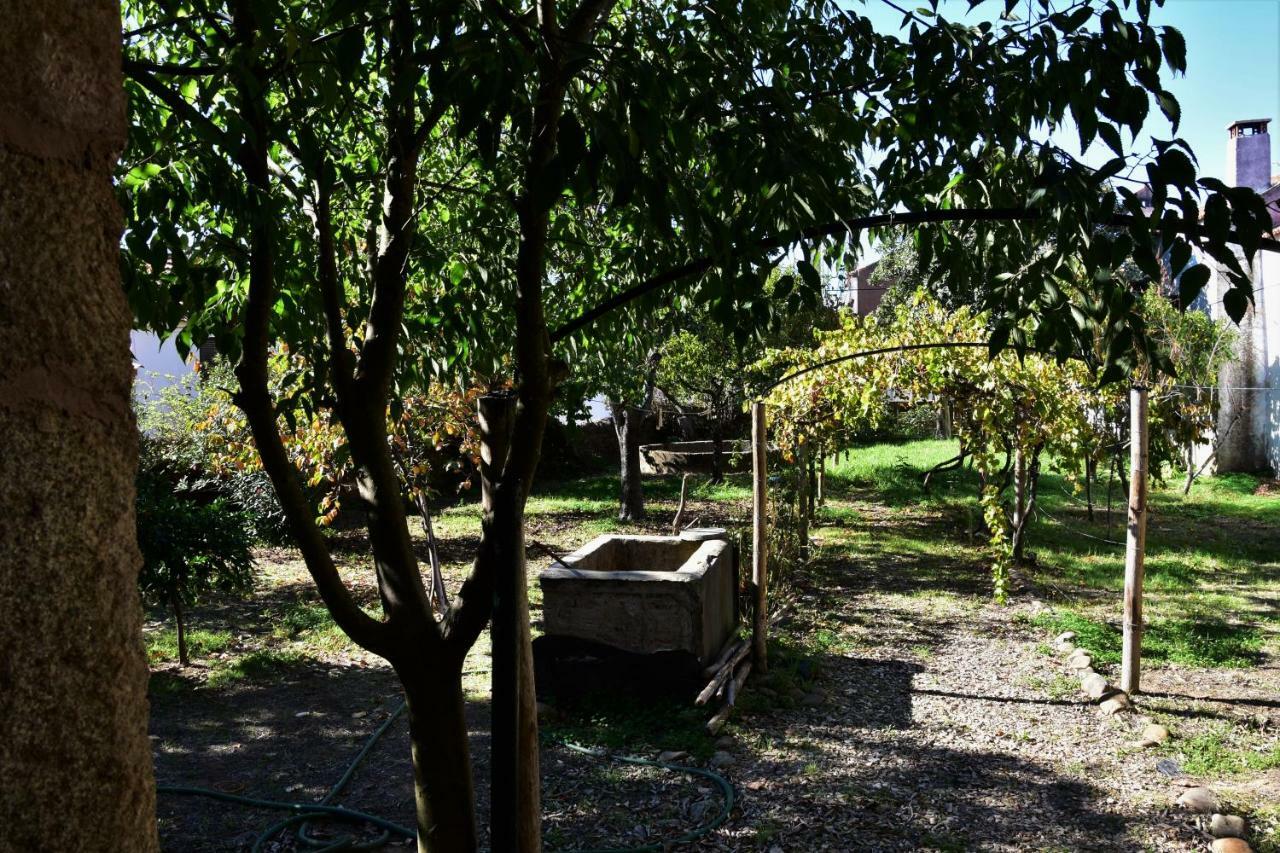 Casa Dona Amelia Villa Idanha-a-Nova Exteriör bild